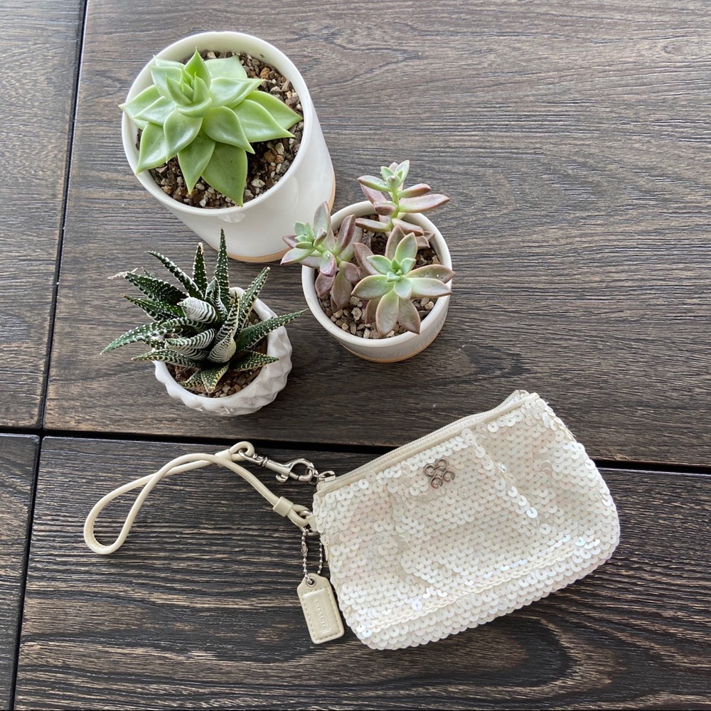 Coach Sequin Wristlet